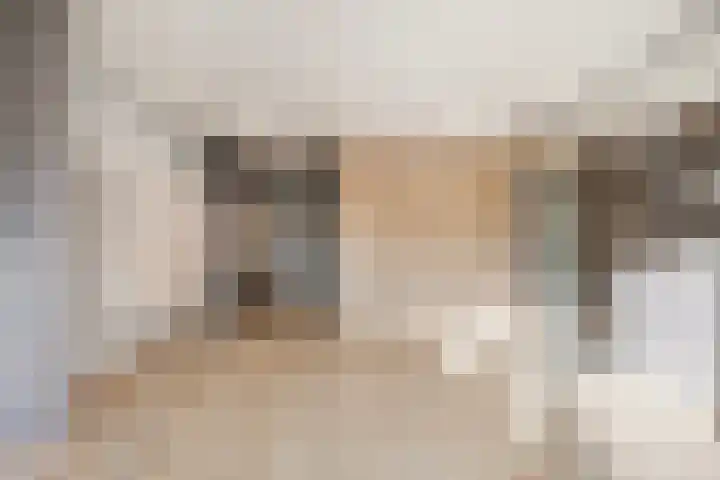 Willemstraat 42 Zoetermeer thumbnail 8