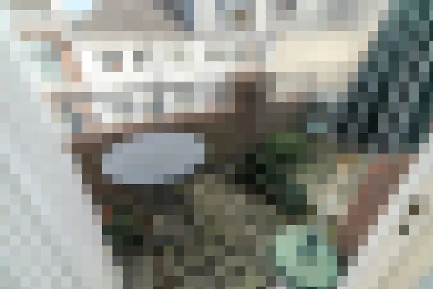 Willemstraat 44 Den Haag thumbnail 14