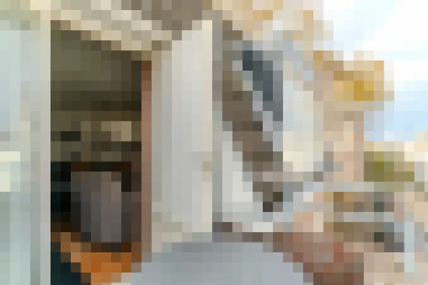 Willemstraat 44 Den Haag thumbnail 18