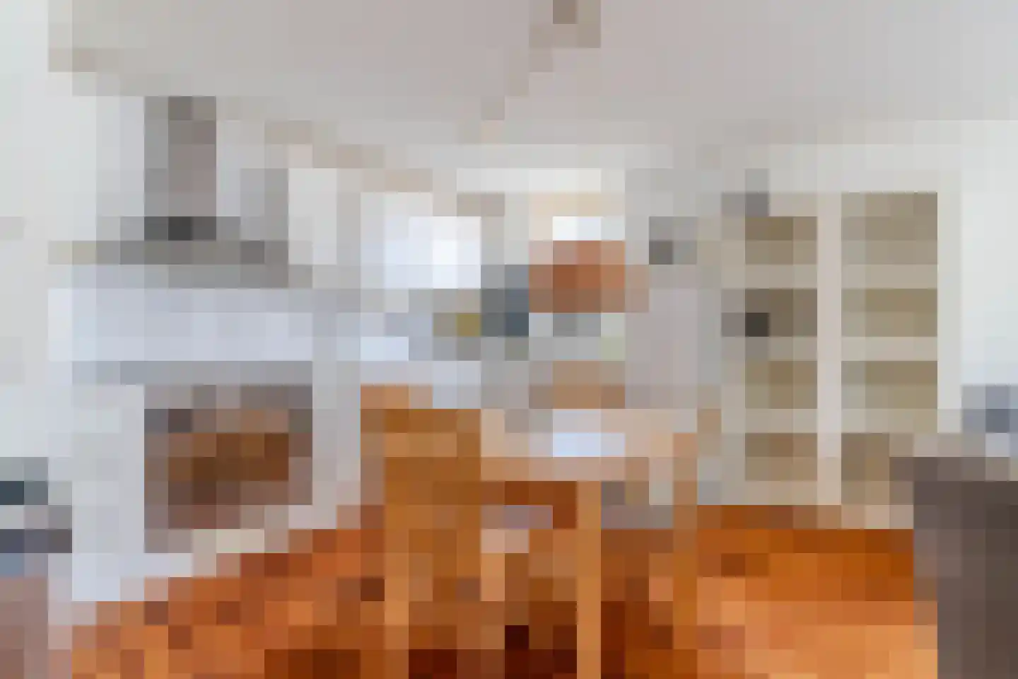 Willemstraat 44 Den Haag thumbnail 9