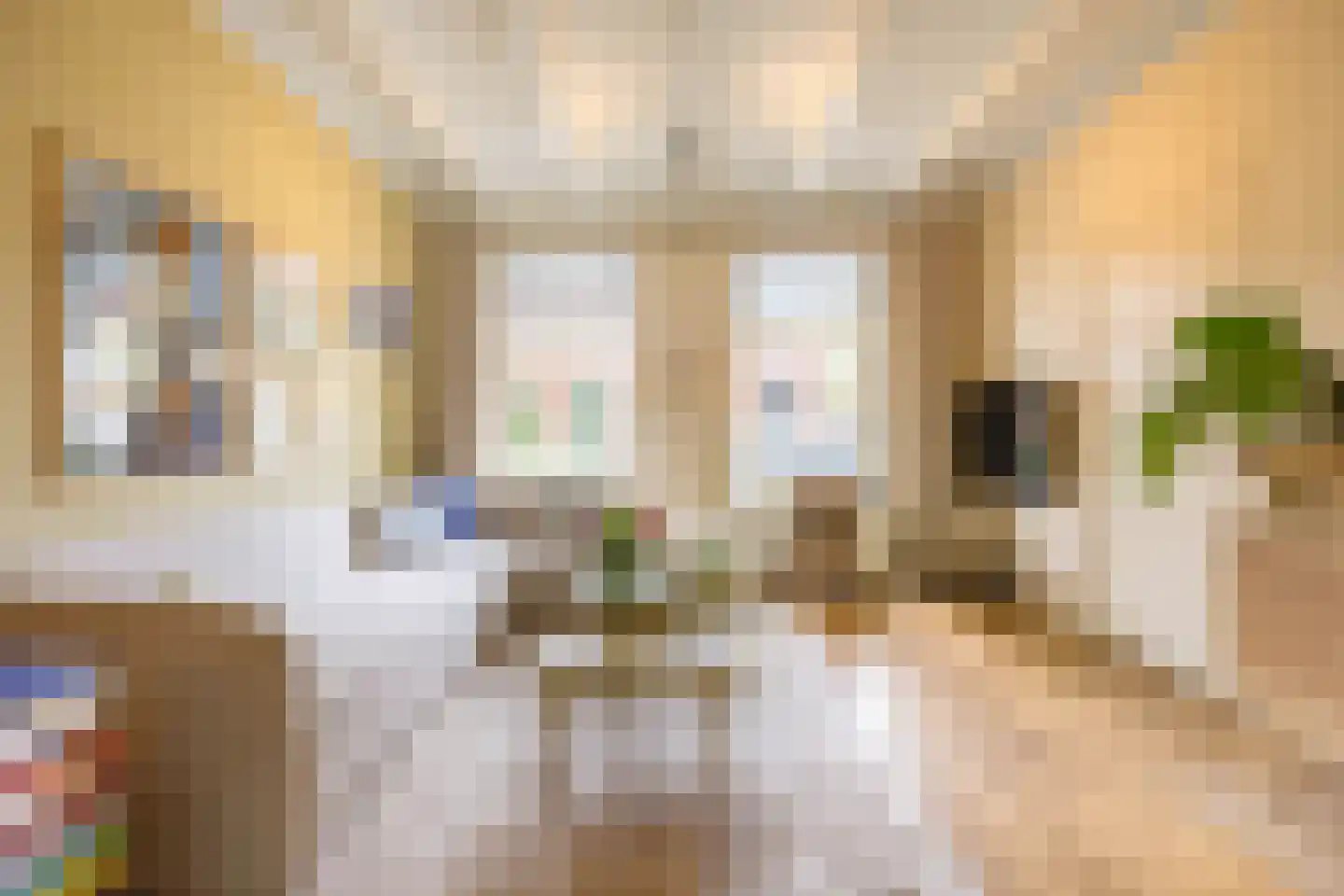 Willemstraat 44 Groningen thumbnail 10