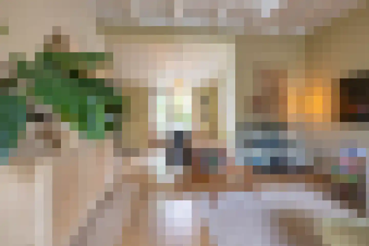 Willemstraat 44 Groningen thumbnail 12