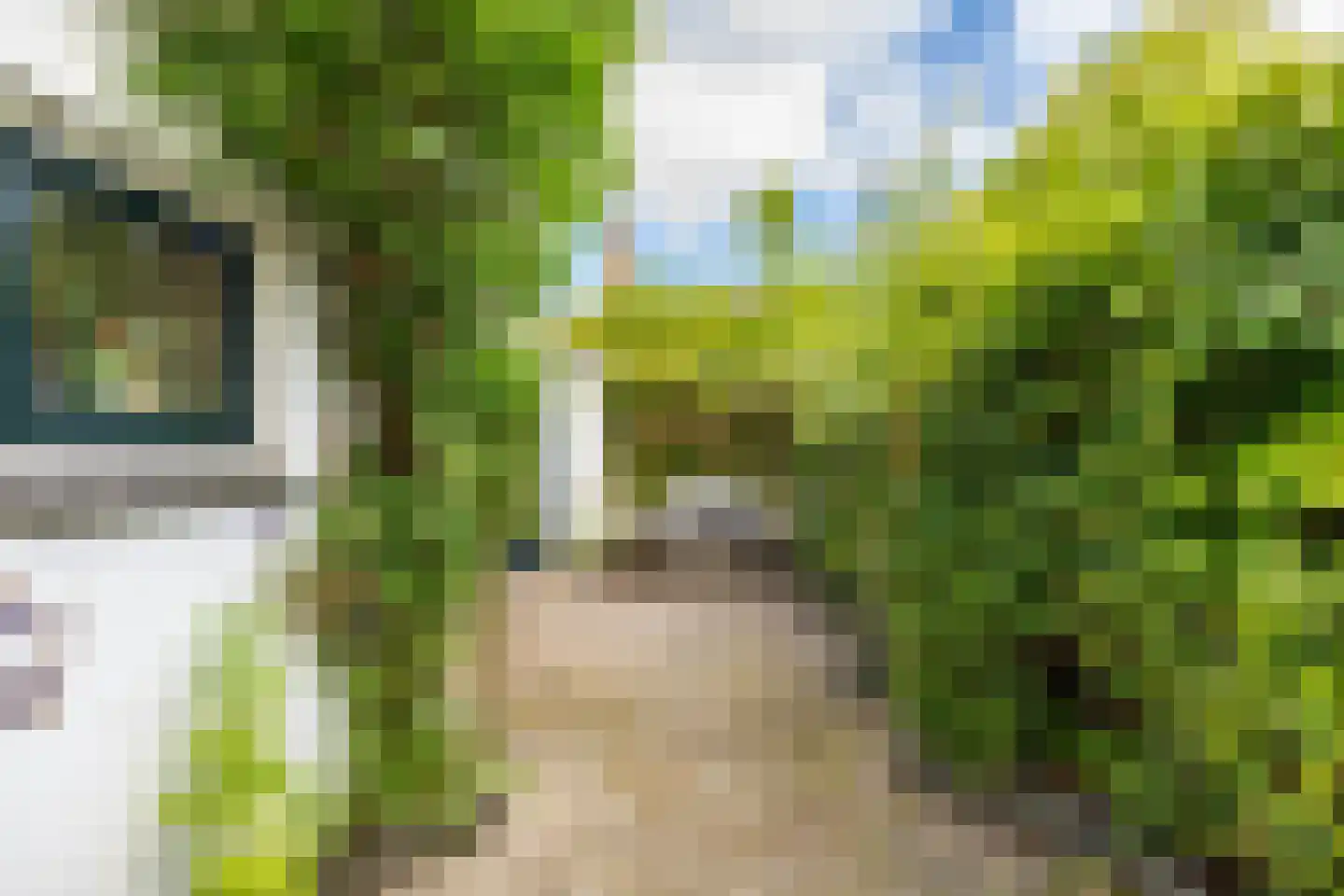 Willemstraat 44 Groningen thumbnail 19