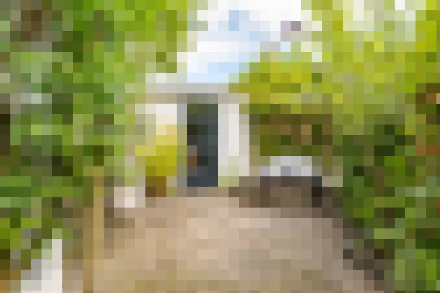 Willemstraat 44 Groningen thumbnail 20