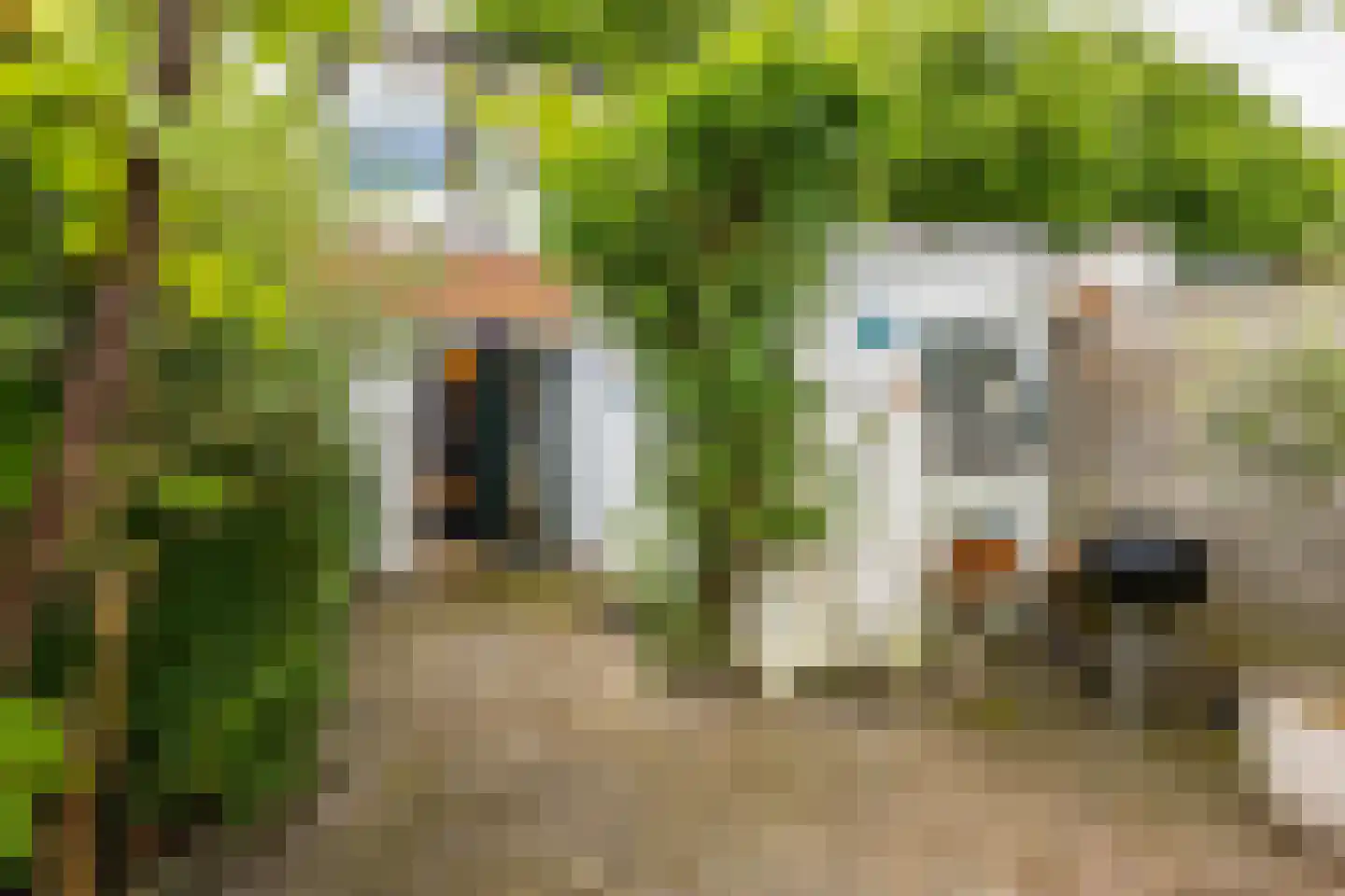 Willemstraat 44 Groningen thumbnail 21