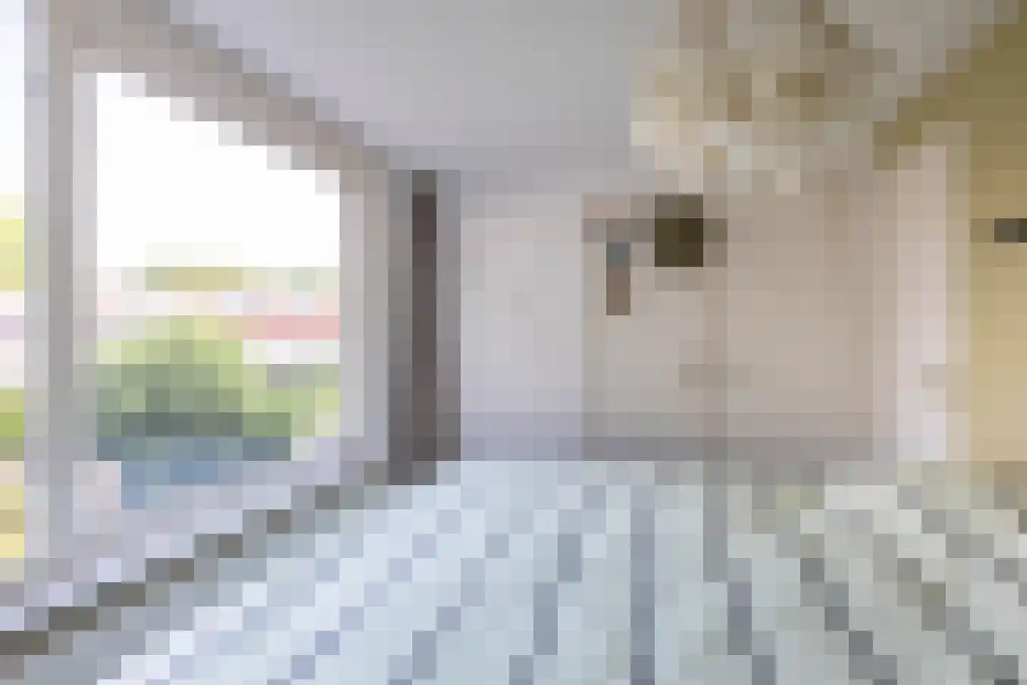 Willemstraat 44 Groningen thumbnail 24