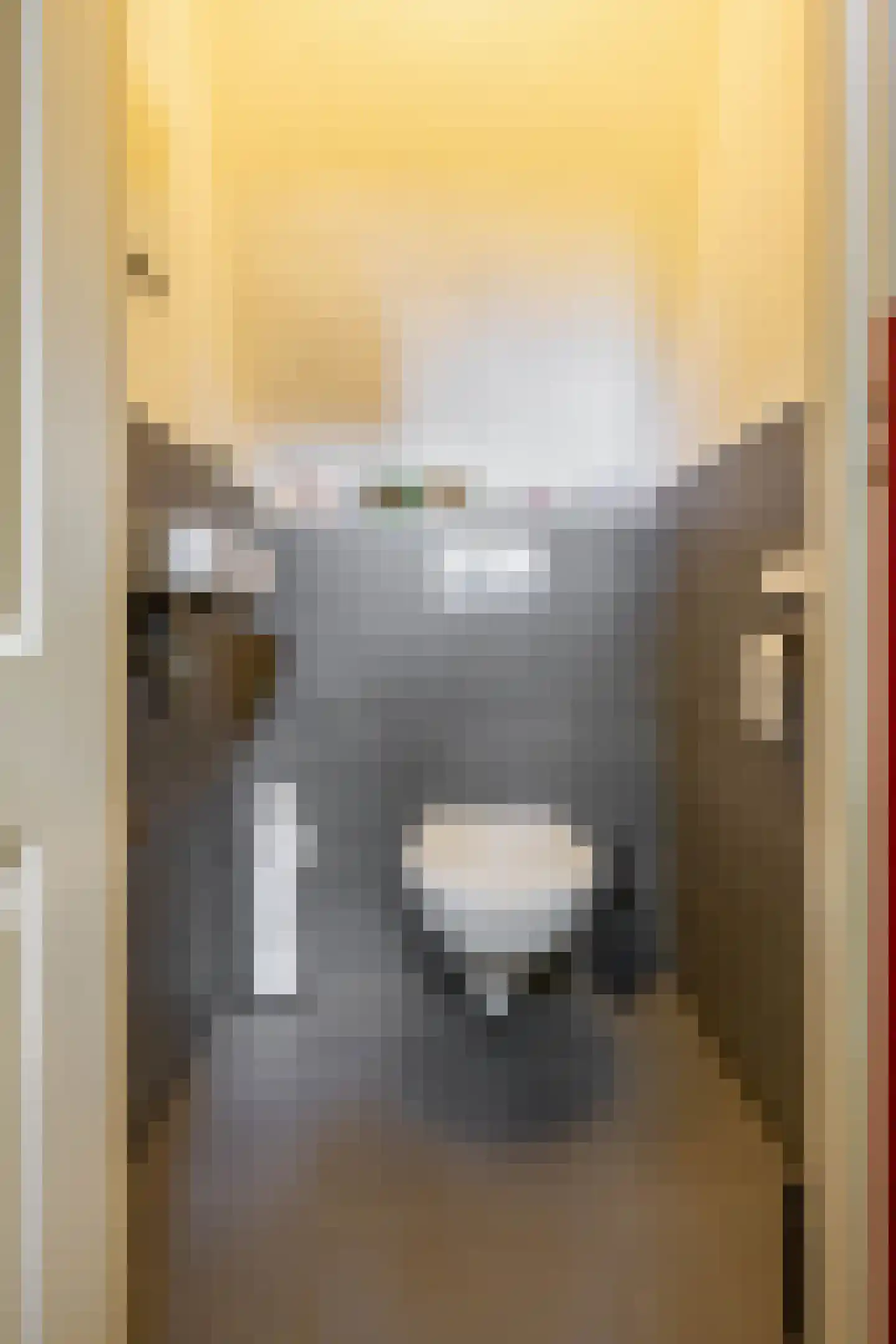 Willemstraat 44 Groningen thumbnail 8