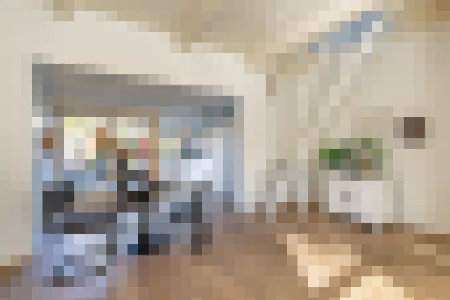 Willemstraat 46 Groningen thumbnail 10