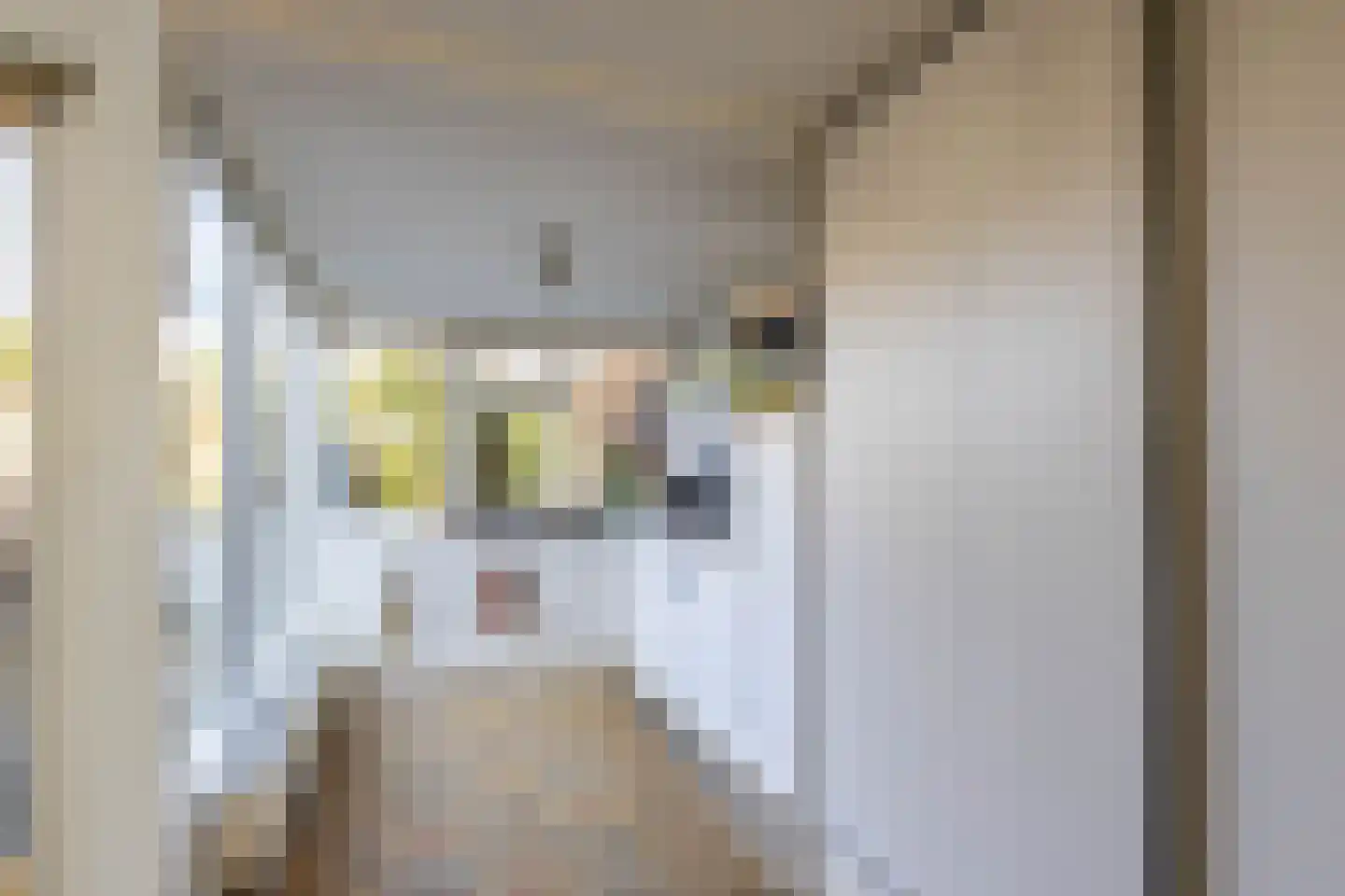 Willemstraat 46 Groningen thumbnail 12
