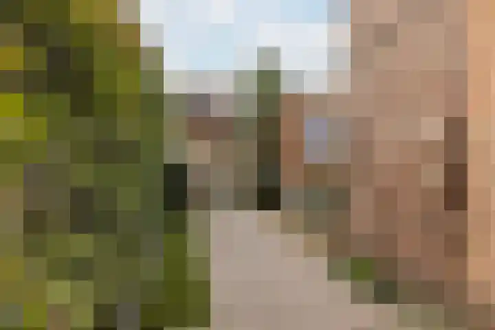 Willemstraat 46 Oosterhout thumbnail 23