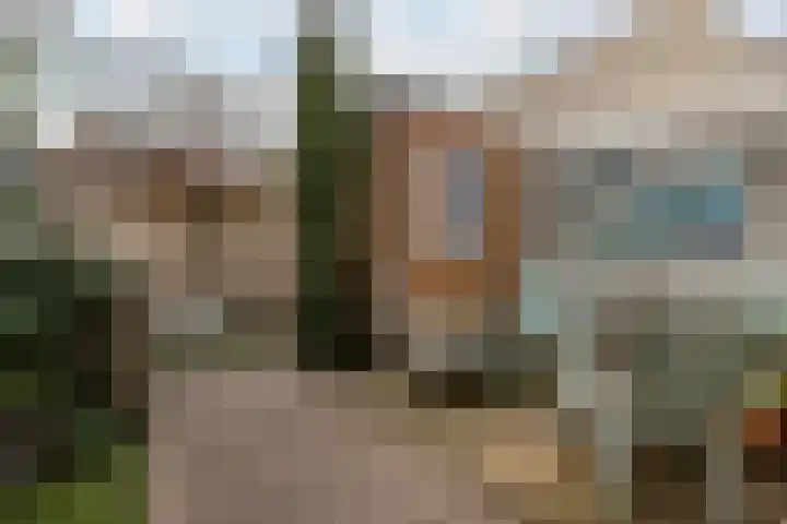 Willemstraat 46 Oosterhout thumbnail 24