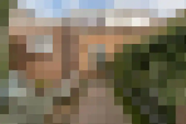 Willemstraat 46 Oosterhout thumbnail 26