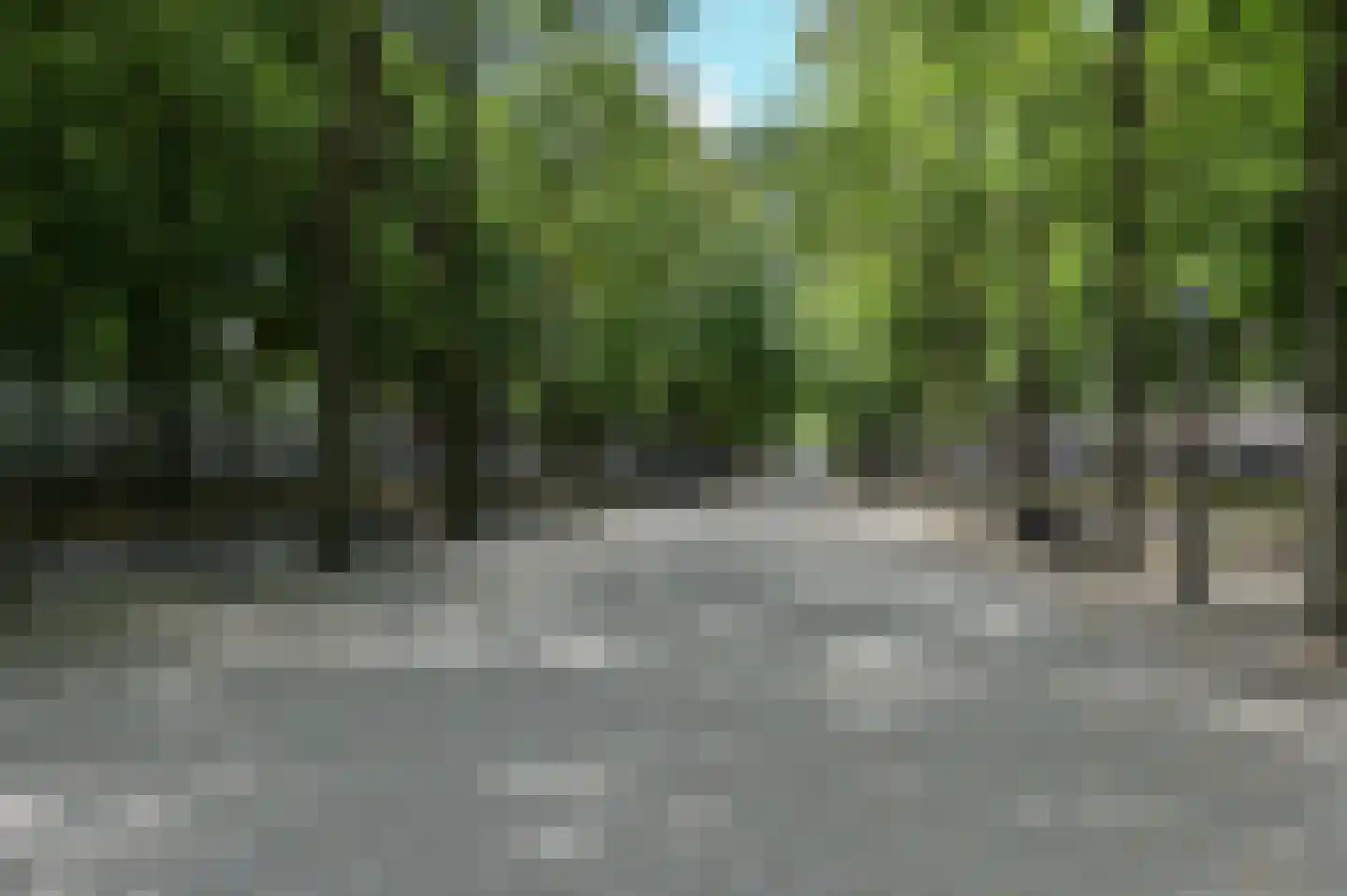 Willemstraat 49 A Den Haag thumbnail 31