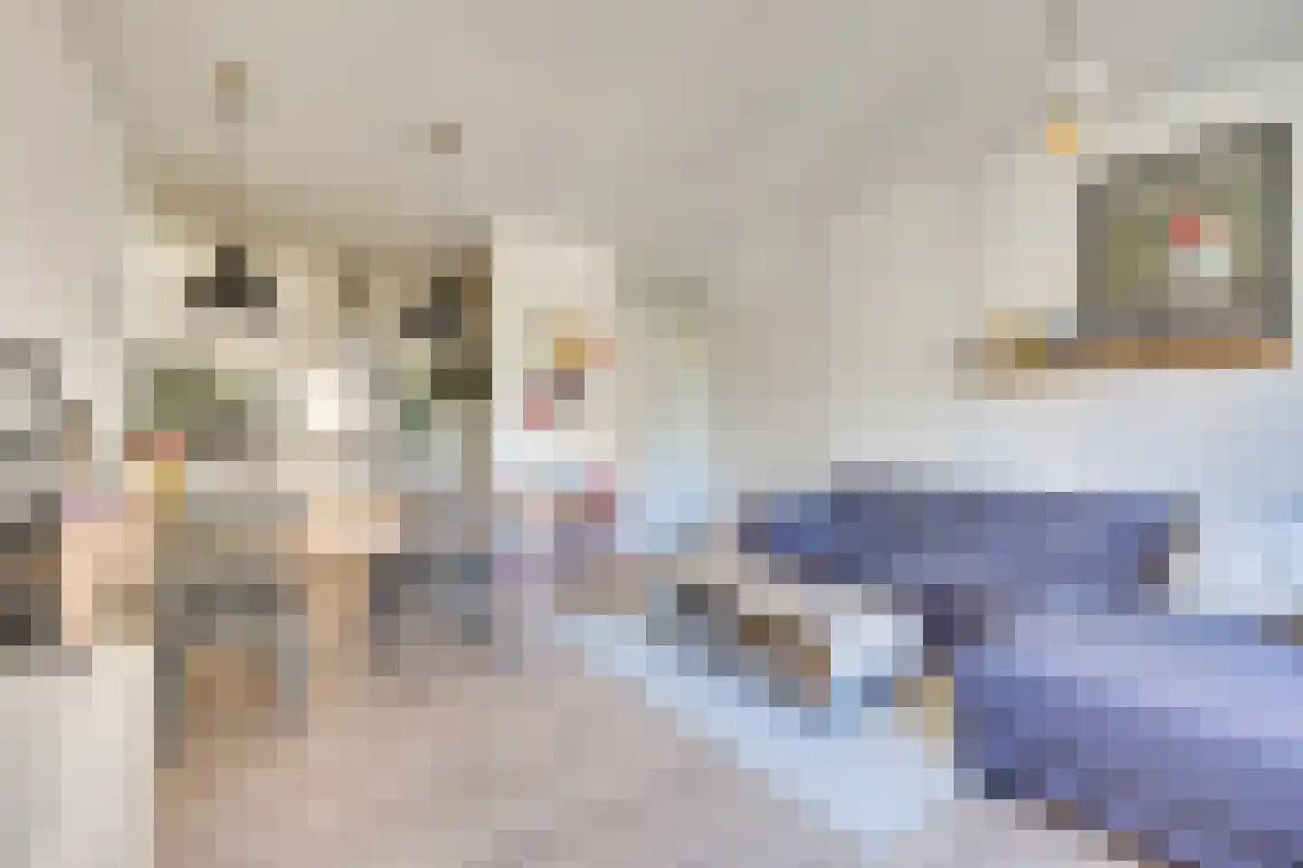 Willemstraat 49 D Eindhoven thumbnail 5