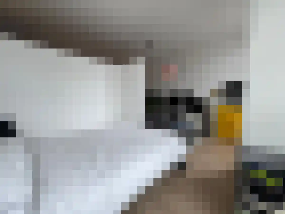 Willemstraat 5 B1 Breda thumbnail 6