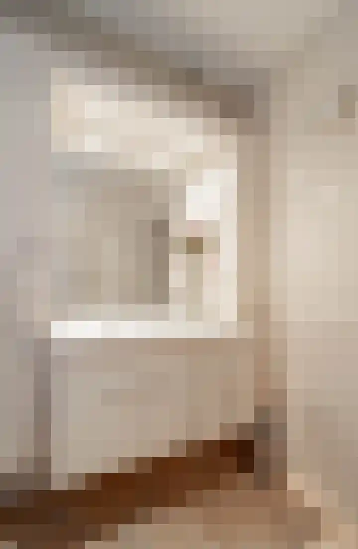 Willemstraat 5 Bakel thumbnail 30