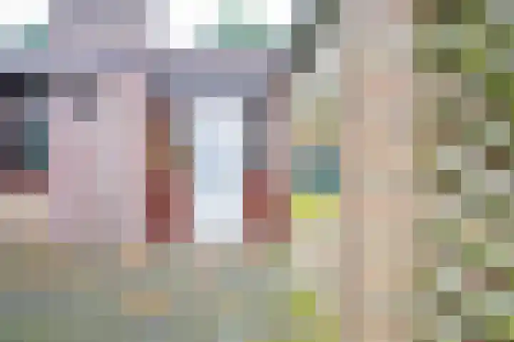 Willemstraat 5 Bakel thumbnail 38