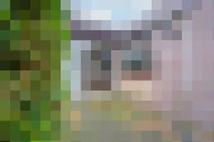 Willemstraat 5 Bakel thumbnail 39