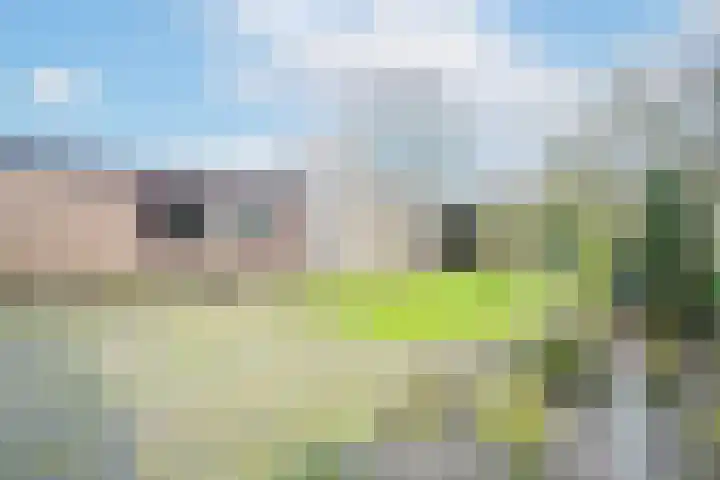 Willemstraat 5 Bakel thumbnail 40