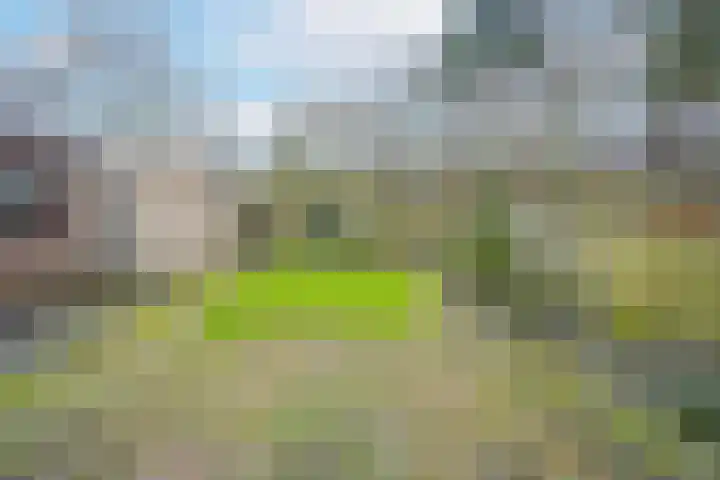 Willemstraat 5 Bakel thumbnail 41