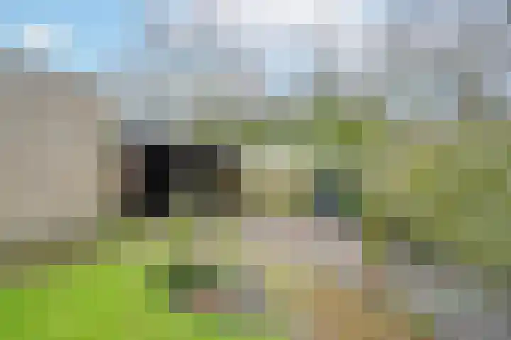 Willemstraat 5 Bakel thumbnail 42