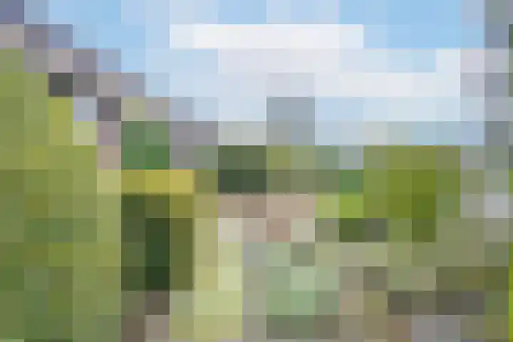 Willemstraat 5 Bakel thumbnail 45
