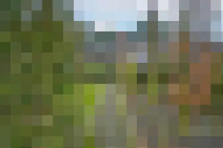 Willemstraat 5 Bakel thumbnail 47