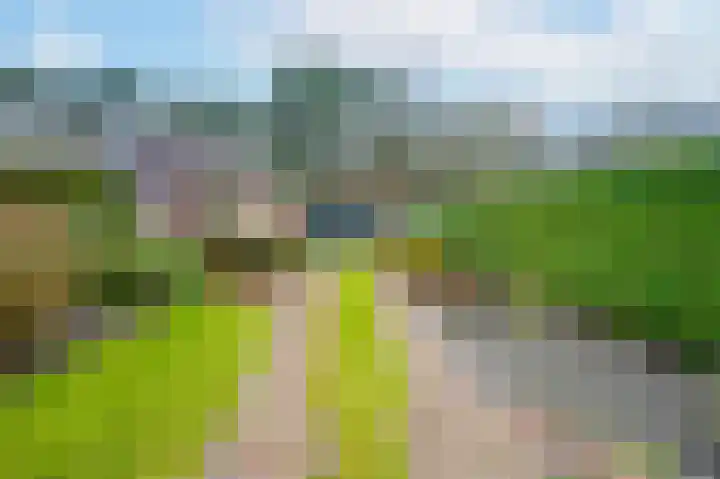 Willemstraat 5 Bakel thumbnail 49
