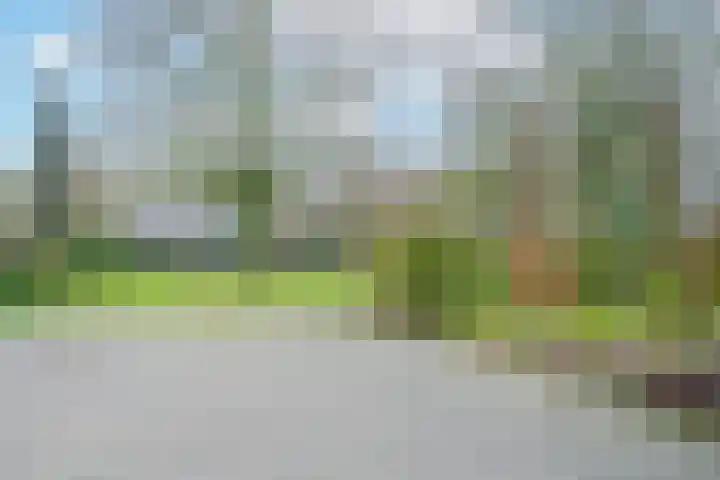 Willemstraat 5 Bakel thumbnail 51