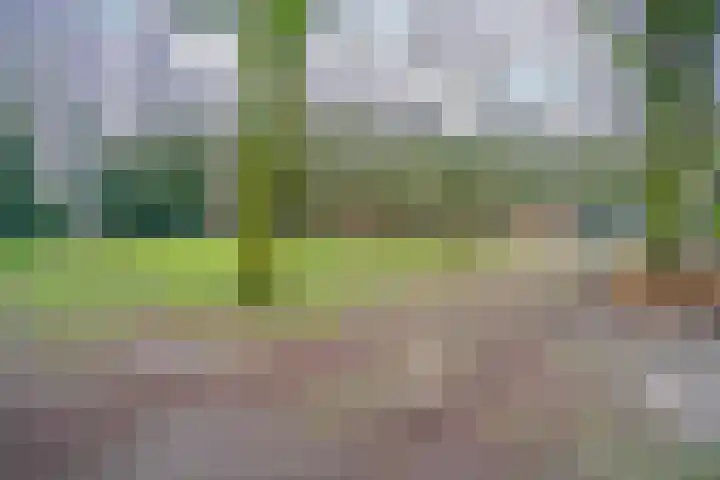 Willemstraat 5 Bakel thumbnail 52