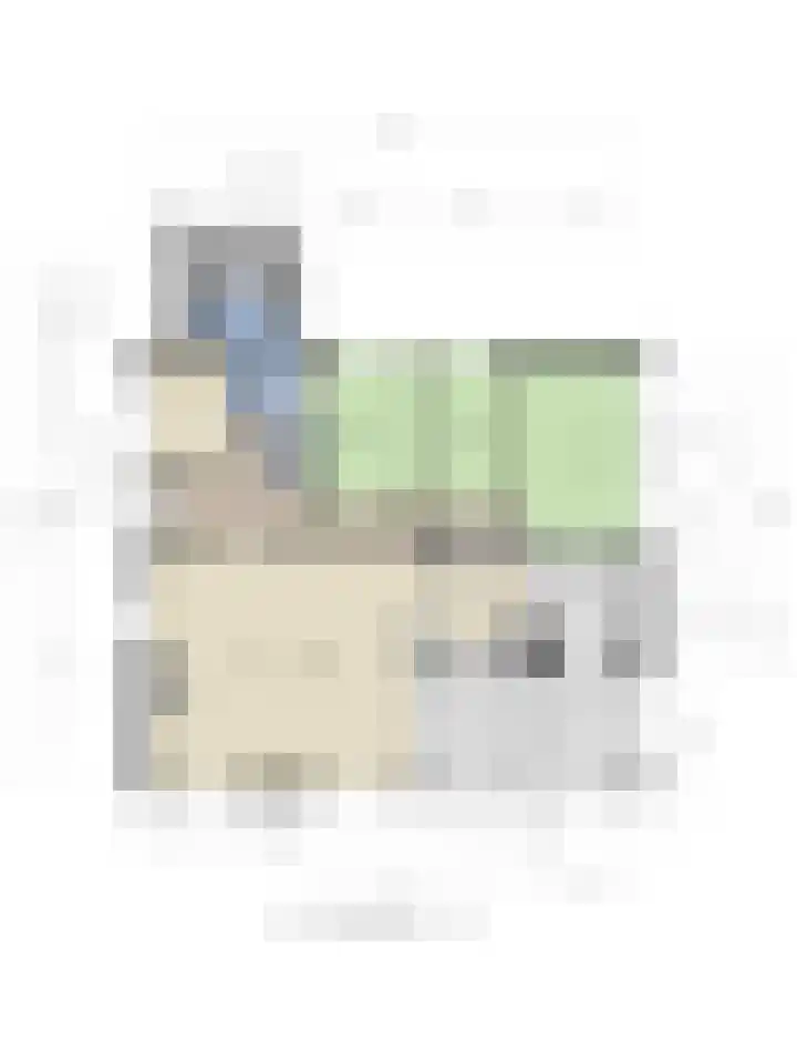 Willemstraat 5 Bakel thumbnail 54