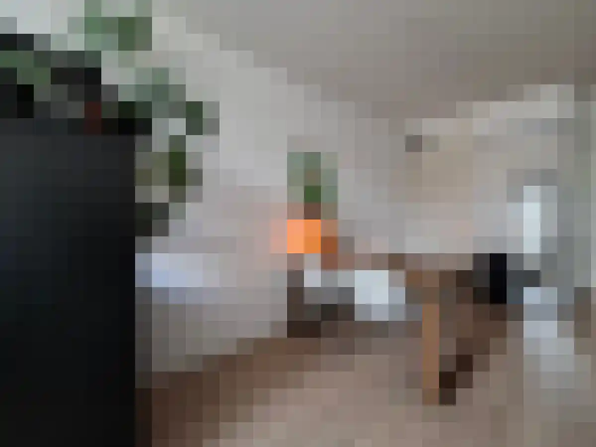 Willemstraat 5 Breda thumbnail 4
