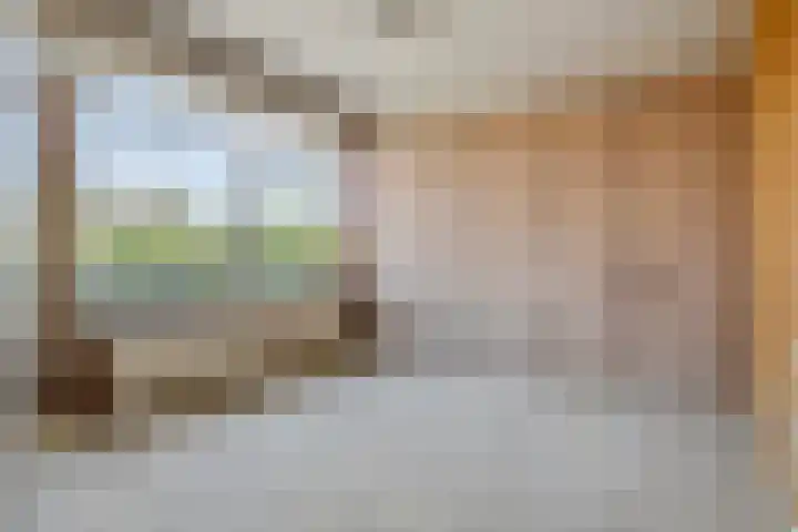 Willemstraat 5 Geldermalsen thumbnail 18