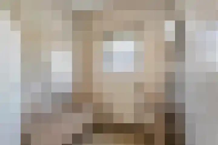 Willemstraat 5 Geldermalsen thumbnail 20