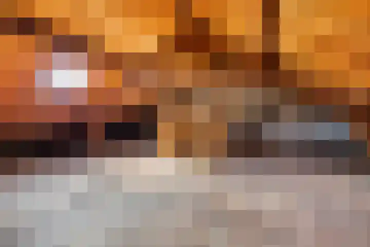 Willemstraat 5 Geldermalsen thumbnail 22