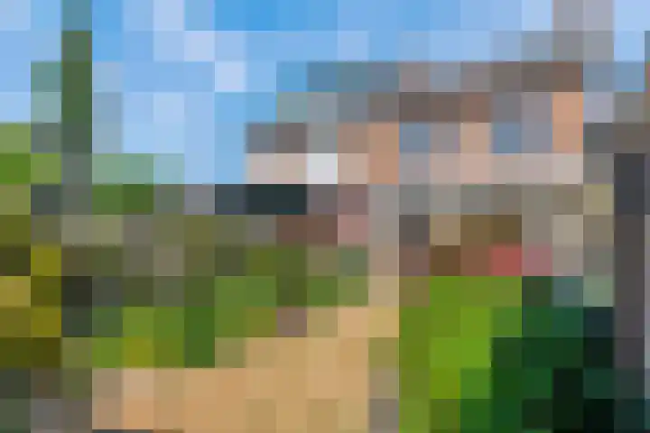 Willemstraat 5 Geldermalsen thumbnail 23