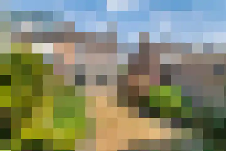 Willemstraat 5 Geldermalsen thumbnail 24