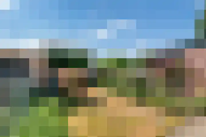 Willemstraat 5 Geldermalsen thumbnail 25