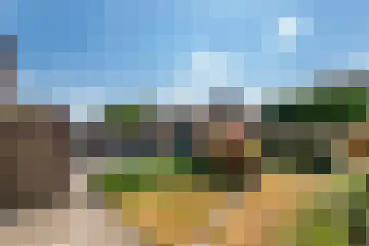 Willemstraat 5 Geldermalsen thumbnail 26