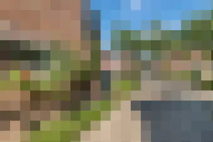 Willemstraat 5 Geldermalsen thumbnail 28