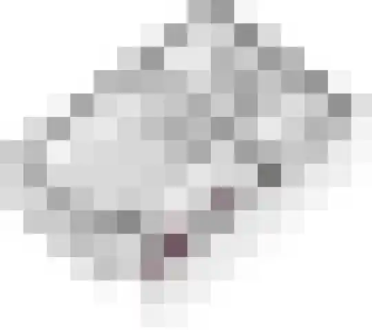Willemstraat 5 Geldermalsen thumbnail 33