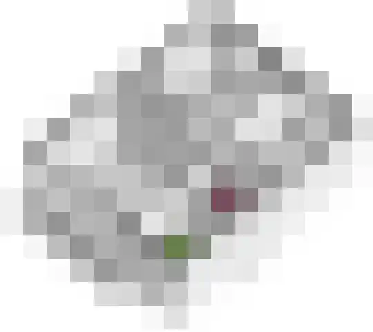 Willemstraat 5 Geldermalsen thumbnail 35