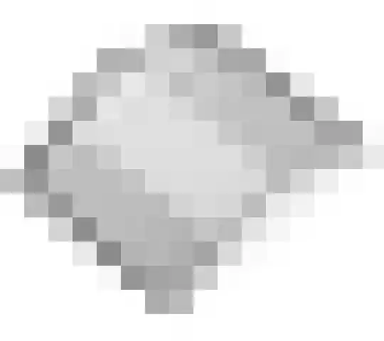 Willemstraat 5 Geldermalsen thumbnail 37