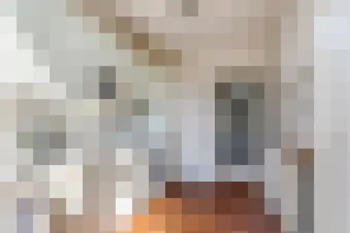 Willemstraat 5 Geldermalsen thumbnail 4