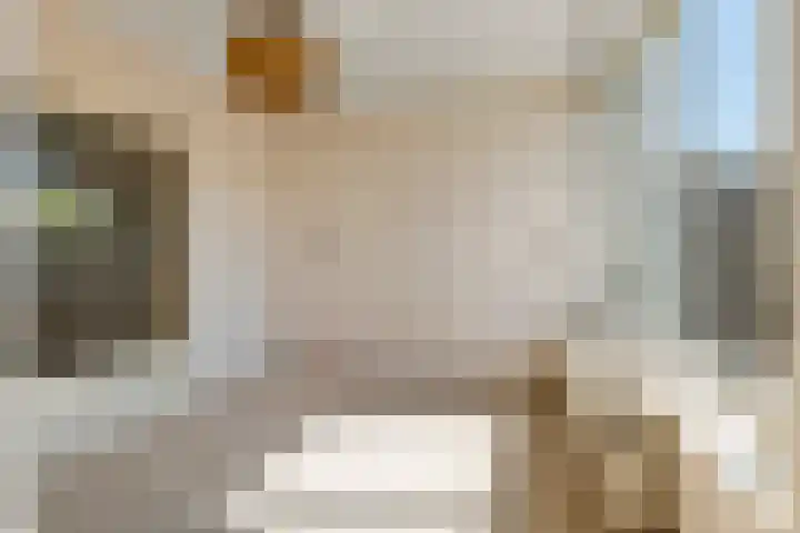 Willemstraat 5 Geldermalsen thumbnail 5