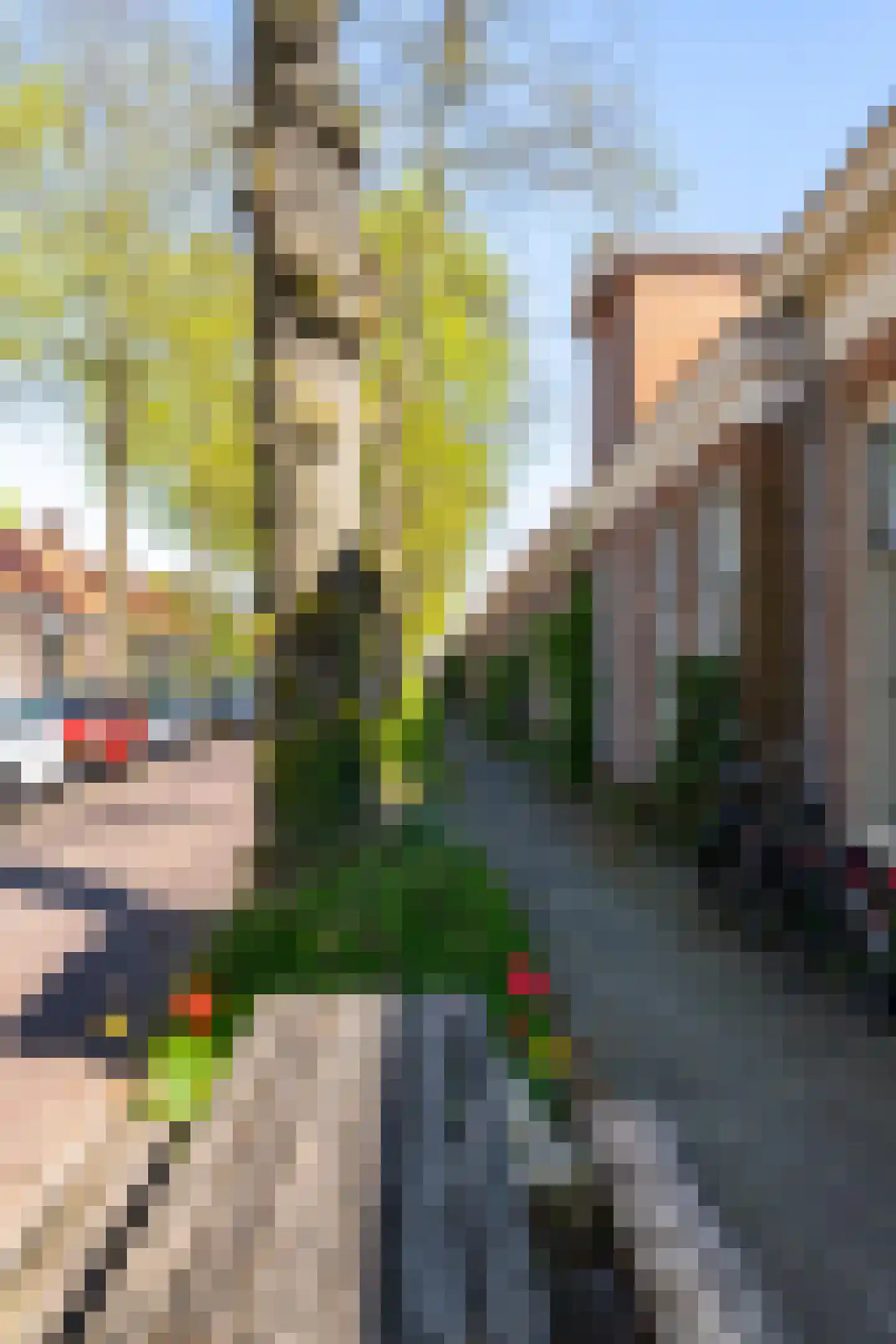 Willemstraat 5 Groningen thumbnail 30