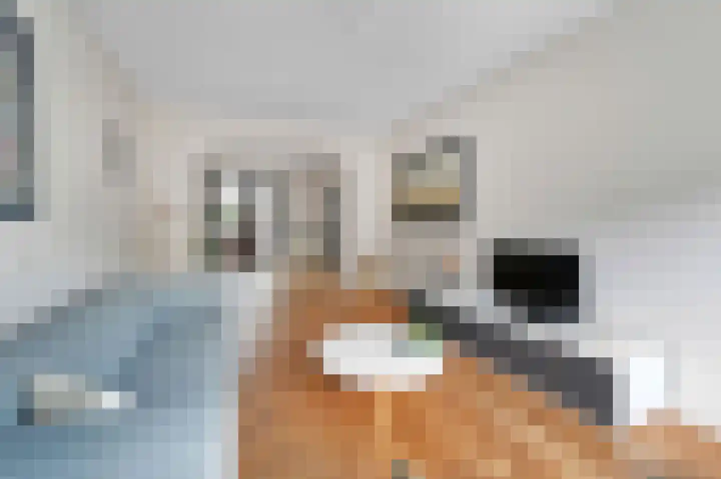 Willemstraat 50 Voorburg thumbnail 12