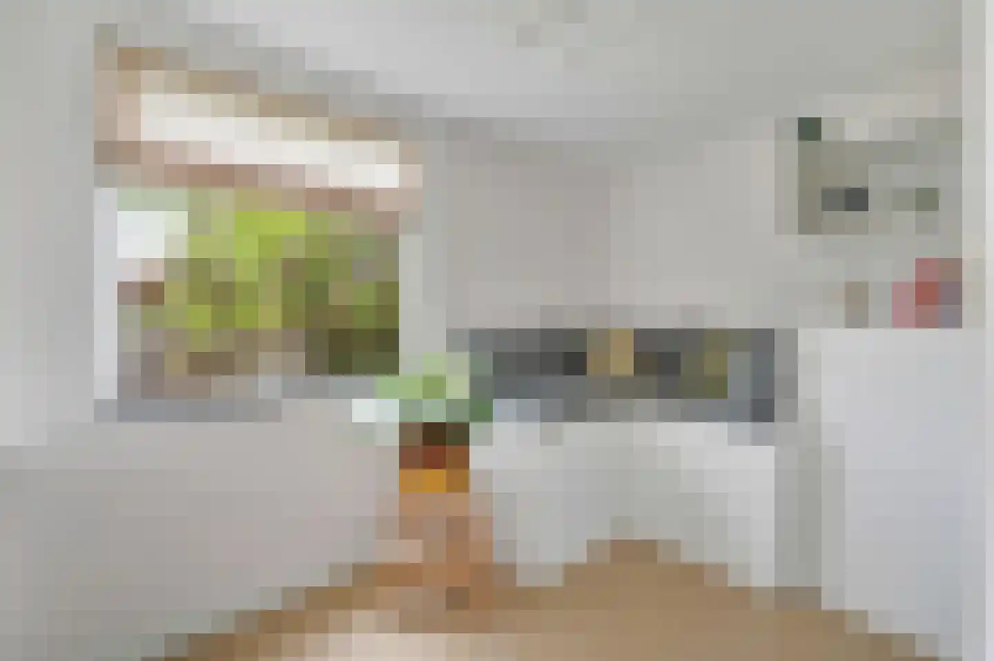 Willemstraat 50 Voorburg thumbnail 19