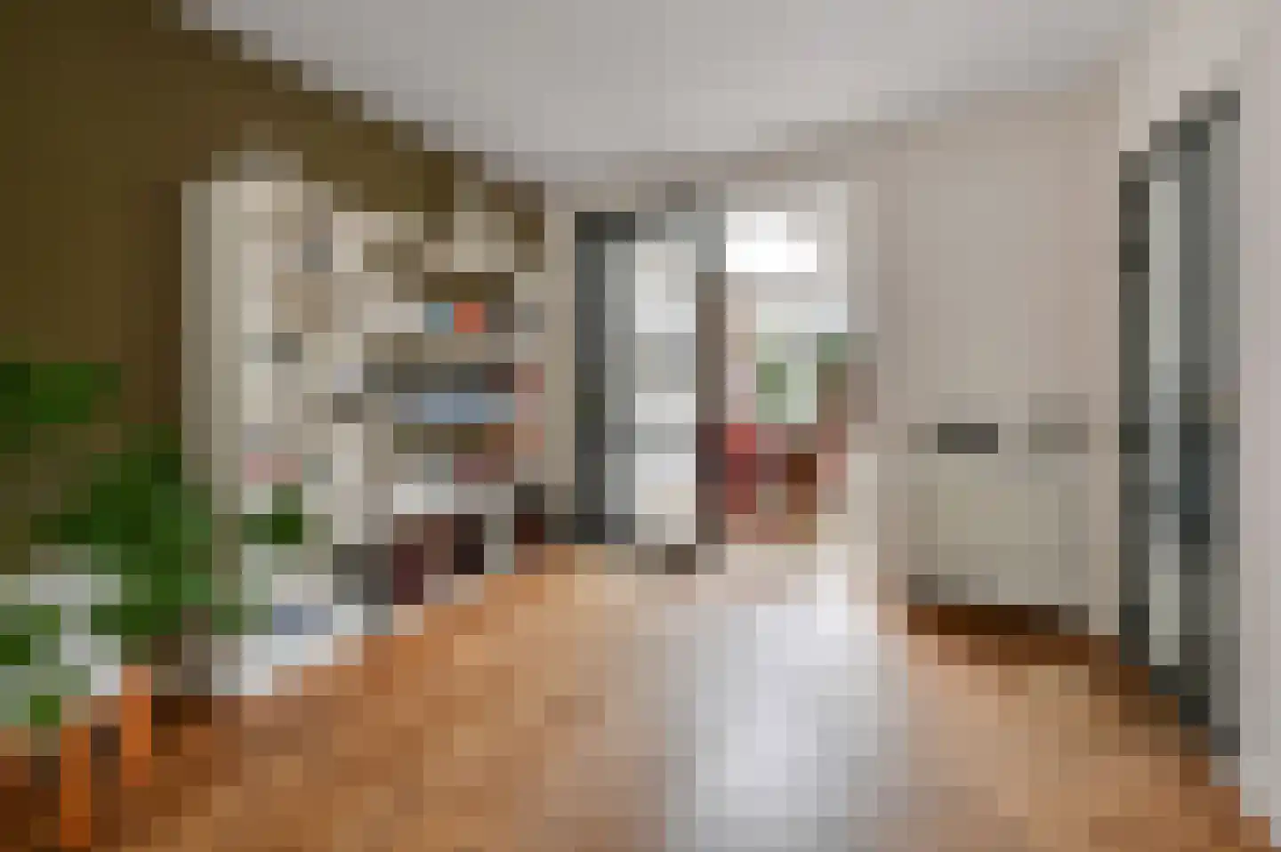 Willemstraat 50 Voorburg thumbnail 4