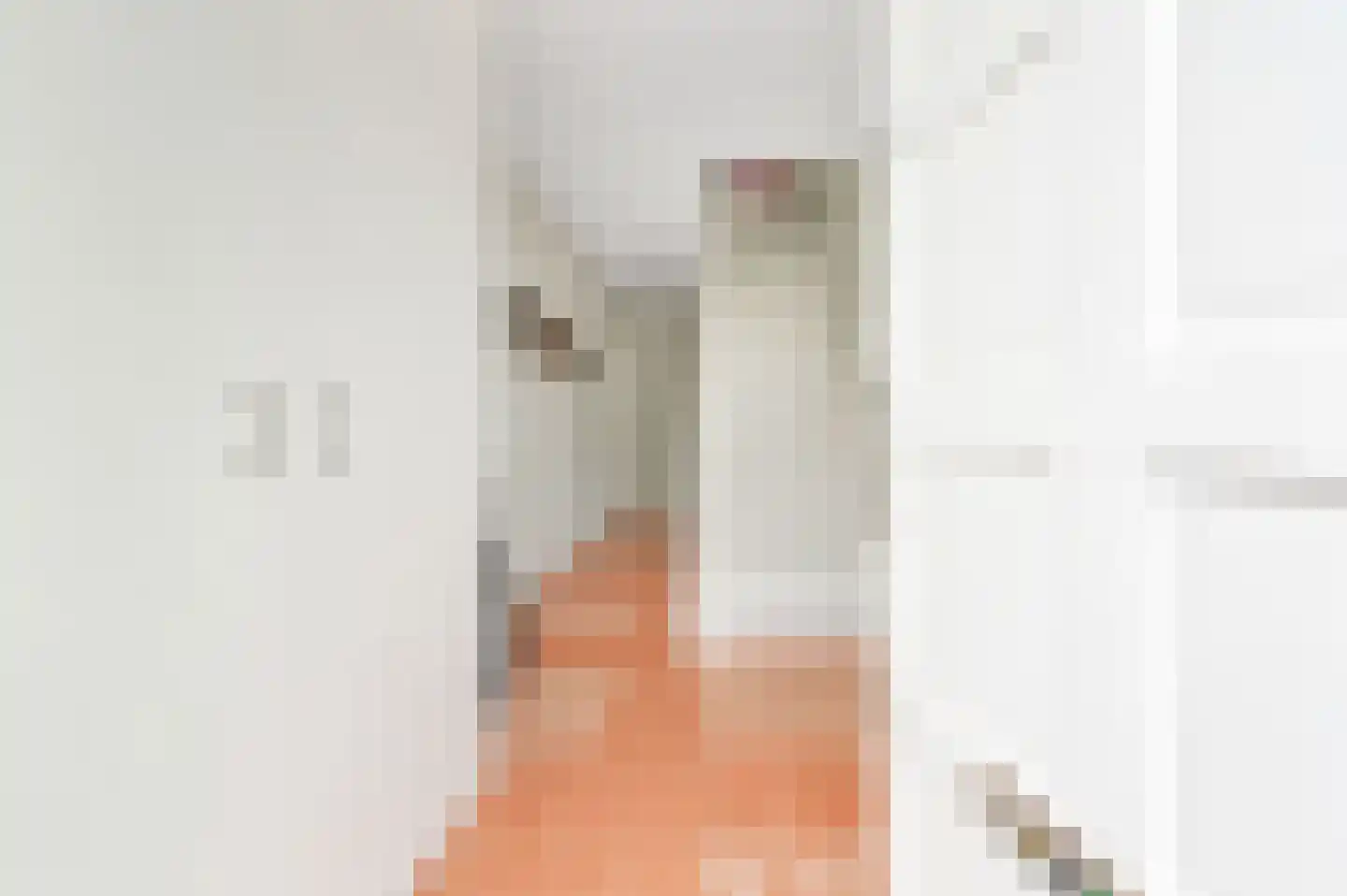 Willemstraat 50 Voorburg thumbnail 8